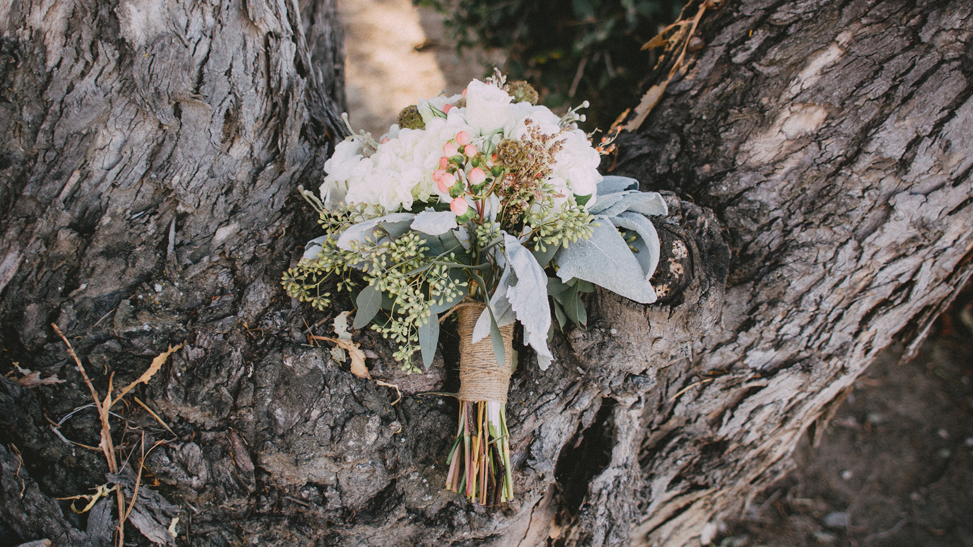 Flowers and the old Tree