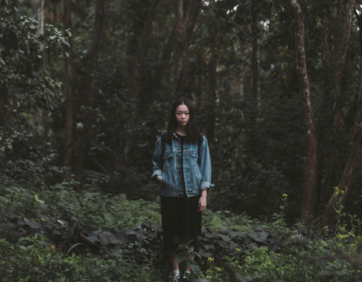 Lost in North West Forest