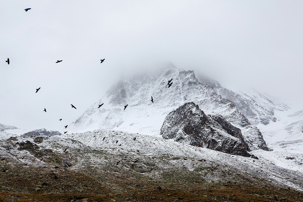 Explore Vancouver Mountain